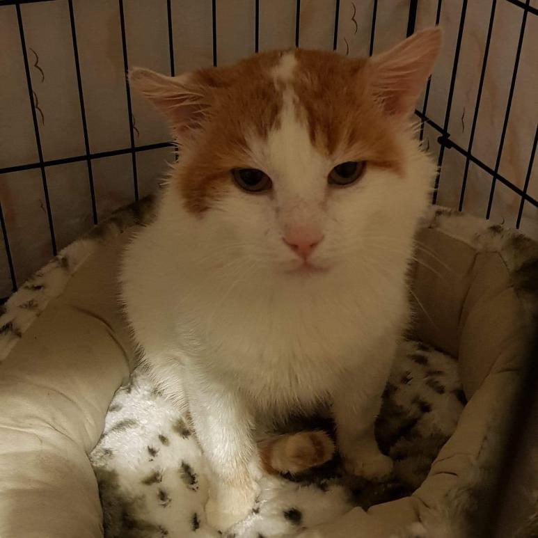 Photo de Victorin / Vico