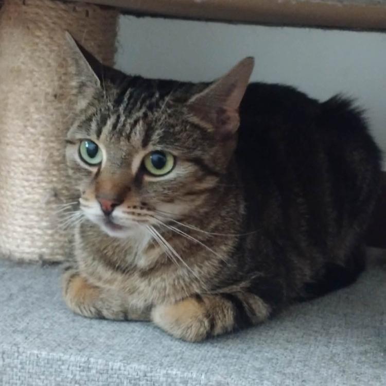 Photo de Sienna