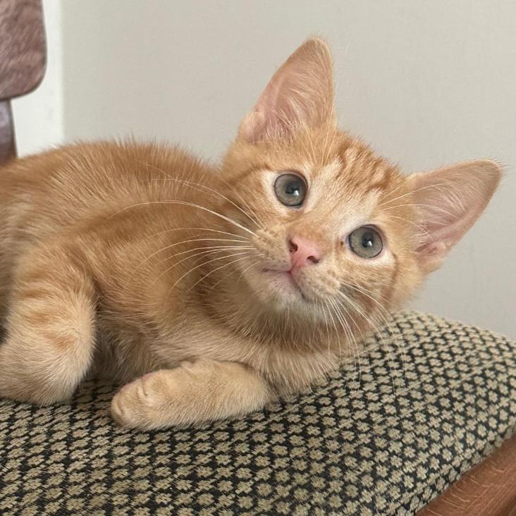 Photo de Franklin